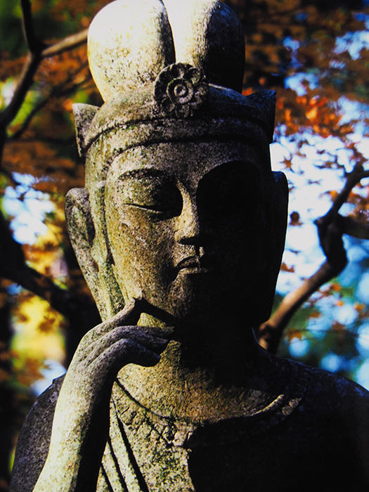 晩秋の微笑み（湖東三山・百済寺）