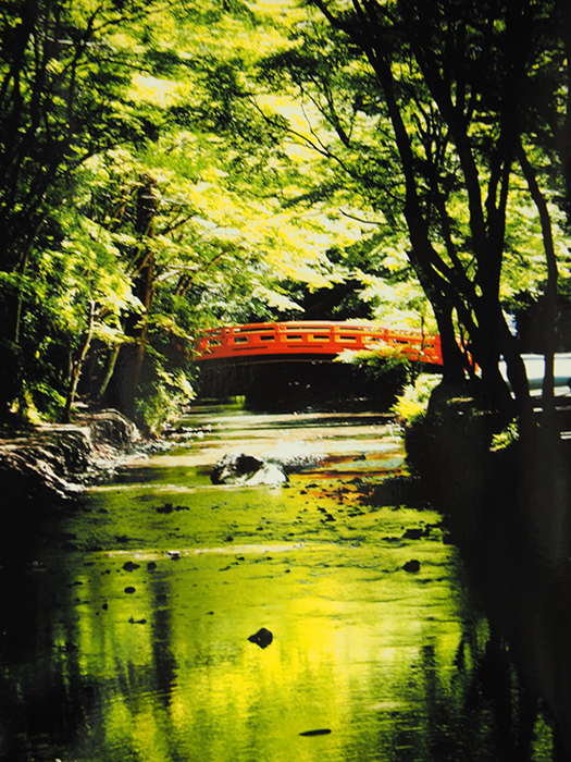 赤い橋（遠江國一宮・小國神社）