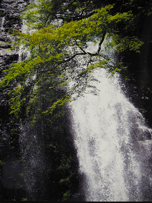 涼風（箕面市・箕面大滝）