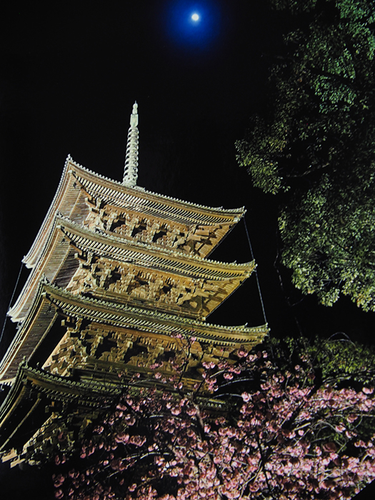 満月に映える　（東寺・夜桜　2023）